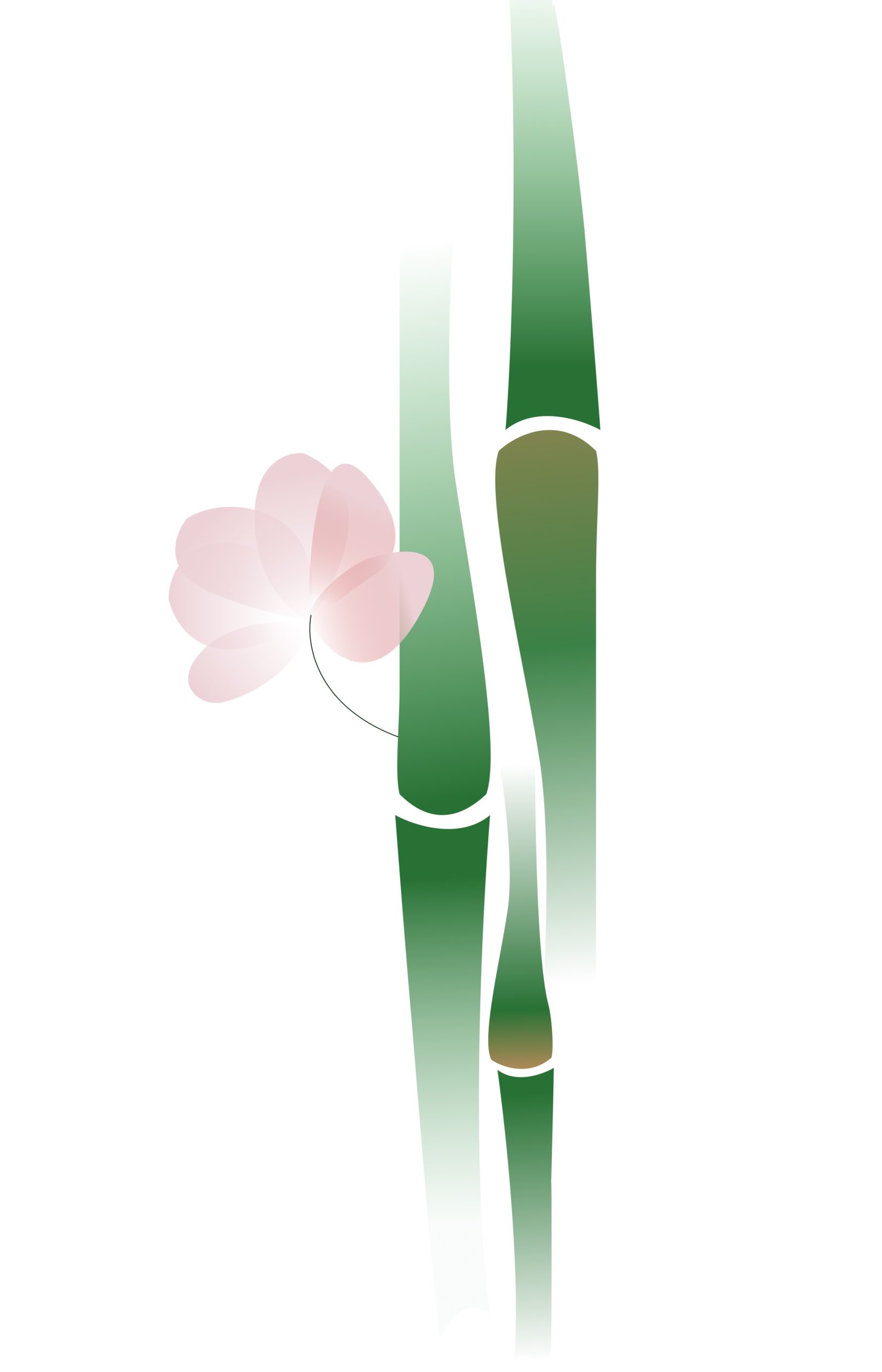 Helping Link 30th Annual Gala logo